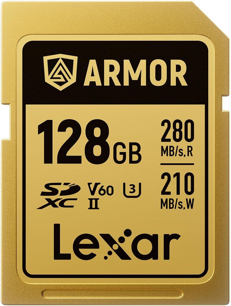 Lexar Professional Armor Gold 128GB UHS-II V60 SDXC Memory Card-LSDAMGL128G-RNNNG