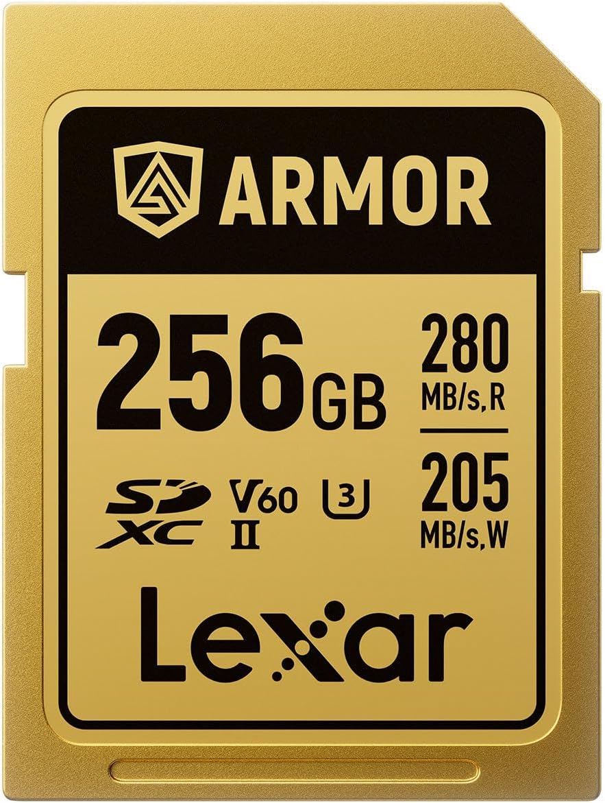 Lexar Professional Armor Gold 256GB UHS-II V60 SDXC Memory Card-LSDAMGL256G-RNNNG